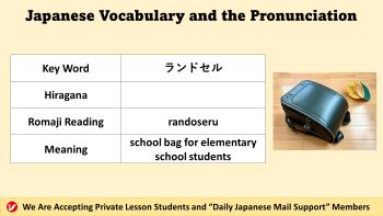 ランドセル (randoseru) | school bag for elementary school students