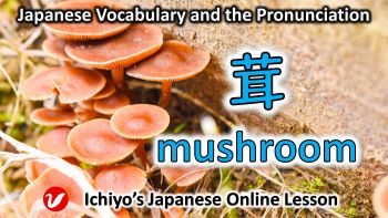 茸 (キノコ、きのこ、kinoko) | mushroom