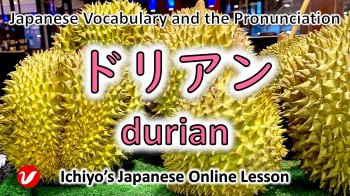 ドリアン (dorian) | durian