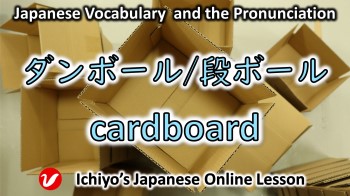 ダンボール/段ボール (danbōru) | cardboard