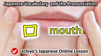 口 (くち、kuchi) | mouth