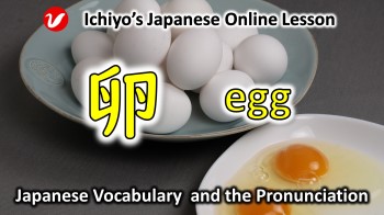 卵 (たまご、tamago) | egg