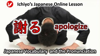 謝る (あやまる、ayamaru) | apologize