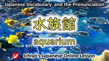 水族館 (すいぞくかん、suizokukan) | aquarium