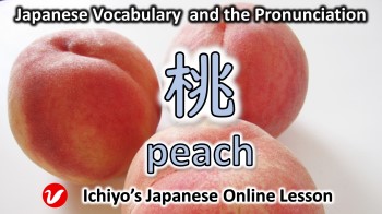 桃 (もも、モモ、momo) | peach