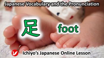 足 (あし、ashi) | foot, leg
