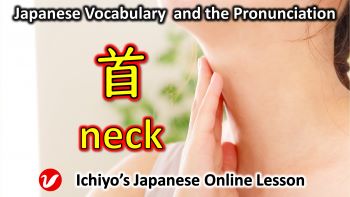 首 (くび、kubi) | neck