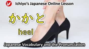 かかと (kakato) | heel