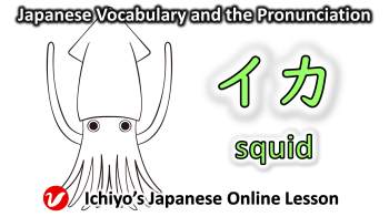 いか (イカ、ika) | squid
