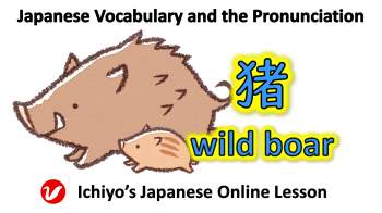 猪 (いのしし、イノシシ、inoshishi) | wild boar