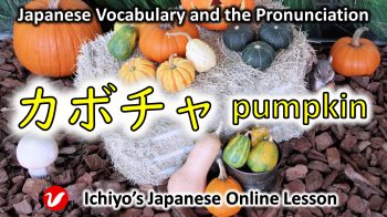 カボチャ (かぼちゃ、kabocha) | pumpkin