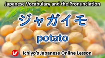 ジャガイモ (じゃがいも、jagaimo) | potato