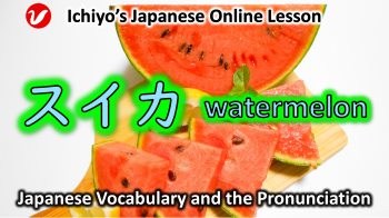 スイカ (すいか、suika) | watermelon