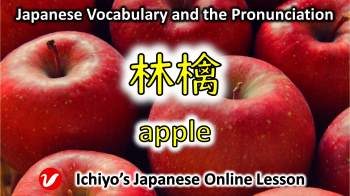 林檎 (りんご、リンゴ、ringo) | apple