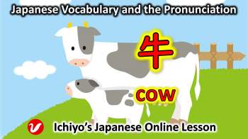 牛 (うし、ウシ、ushi) | cow
