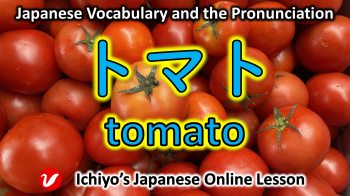 トマト (tomato) | tomato