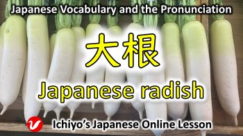 大根 (だいこん、daikon) | Japanese radish