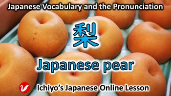 梨 (なし、ナシ、nashi) | Japanese pear