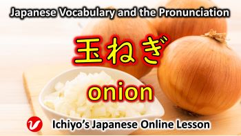 玉ねぎ (たまねぎ、tamanegi) | onion