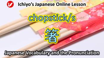 箸 (はし、hashi) |chopstick/s