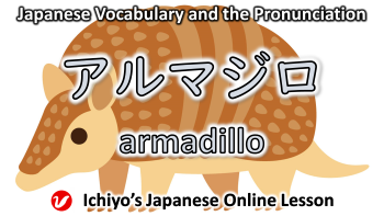 アルマジロ (arumajiro) | armadillo