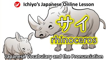 サイ (sai) | rhinoceros