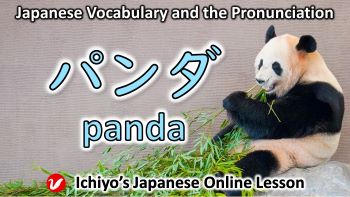パンダ (panda) | panda
