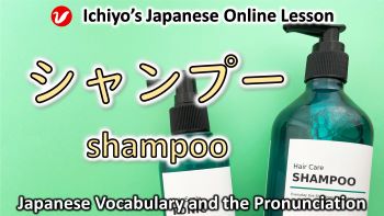 シャンプー (shanpū) | shampoo