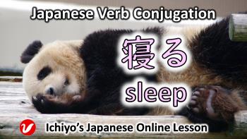 Verb Conjugation「寝る (neru)」sleep, will sleep