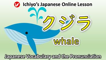 鯨（くじら、クジラ、 kujira) | whale