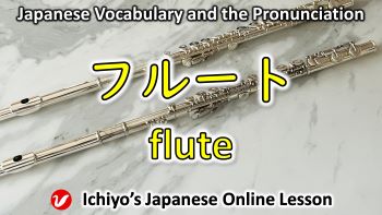 フルート (furūto) | flute