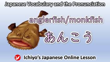あんこう(アンコウ、ankō) | anglerfish, monkfish