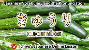 きゅうり (キュウリ、kyūri) | cucumber