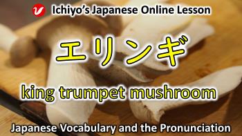 エリンギ (eringi) | king trumpet mushroom