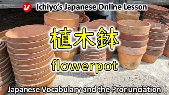 植木鉢 (うえきばち、uekibachi) | flowerpot