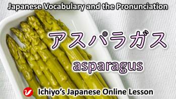 アスパラガス (asuparagasu) | asparagus