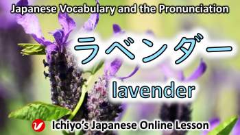 ラベンダー (rabendā) | lavender