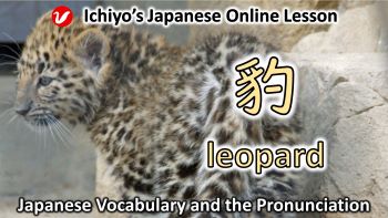 豹 (ひょう、hyō) | leopard, panther