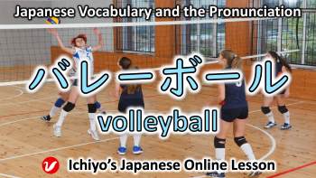 バレーボール (barēbōru) | volleyball