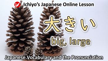 大きい (おおきい、ōkī) | big, large