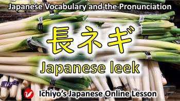 長ネギ (ながねぎ、naganegi) | Japanese leek