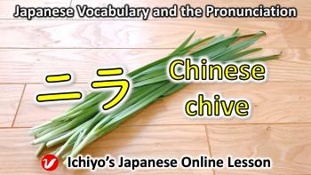 にら (ニラ、nira) | Chinese chive