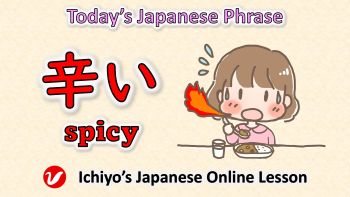 辛い (からい、karai) | spicy, hot