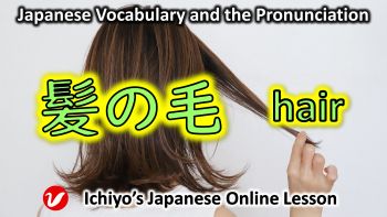 髪の毛 (かみのけ、kami) | (head) hair