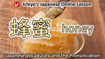蜂蜜 (はちみつ、ハチミツ、 hachimitsu) | honey