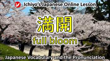 満開 (まんかい、mankai) | full bloom