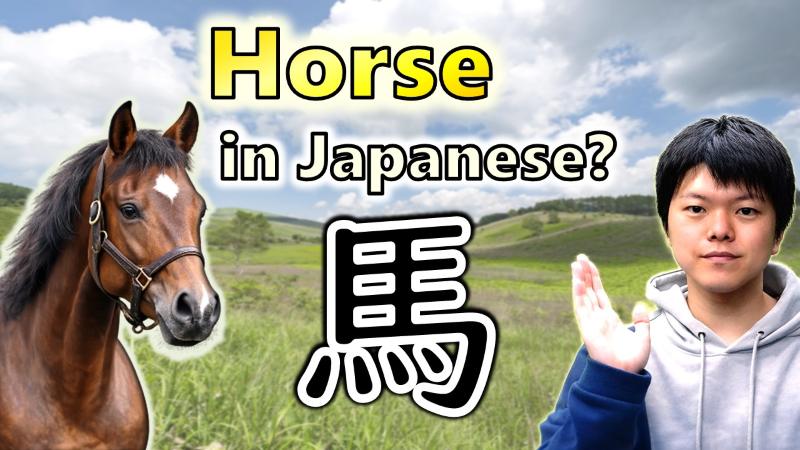 Illustration of a bear with the Japanese word 馬 / ウマ (うま / uma)