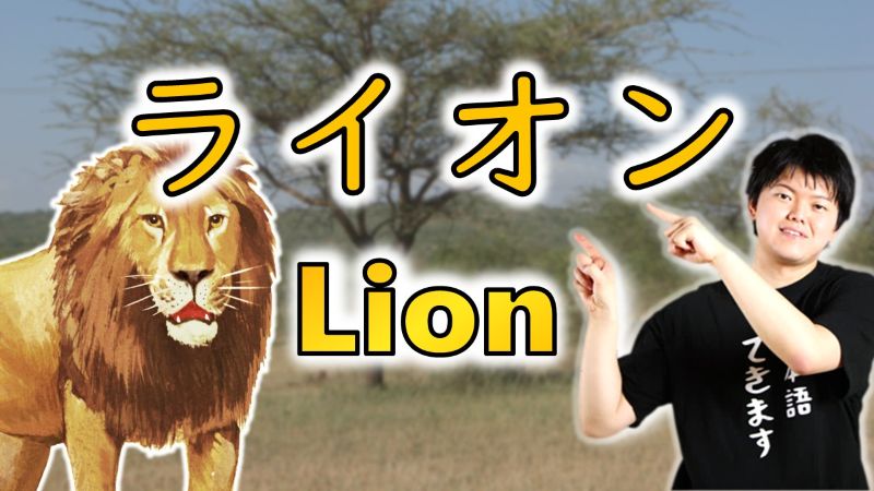 Illustration of a bear with the Japanese word ライオン（raion）